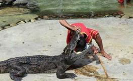 神准占卜：你到底有多“作”？