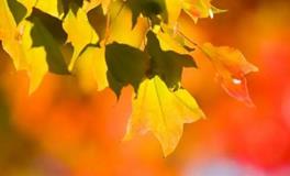 立秋养生，立秋应该吃什么？