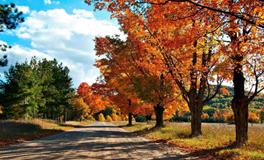 秋分的相关习俗有哪些？