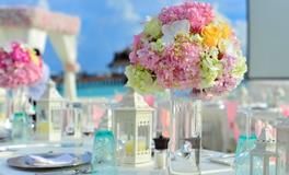 花摆放需知的风水禁忌