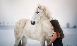 姓名与生肖的关系