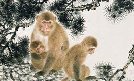 属猴2019年运势运程 生肖猴2019年运势大全