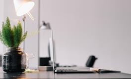 办公室植物风水摆设的讲究