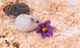 Eskey水瓶座一周运势（7.9-7.15）