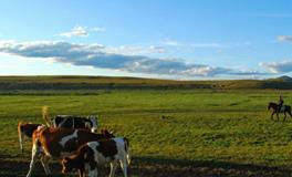 俄罗斯族的音乐文化