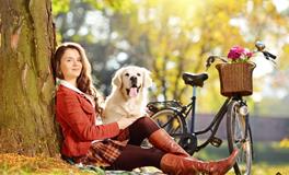 属狗的人性格有什么特征