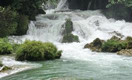 看O型血手机里舍不得删的东西