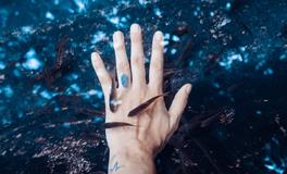 属鼠什么时候出生命好