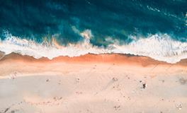 金鸡年是哪些年份