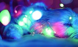 周公解梦梦见自己哭