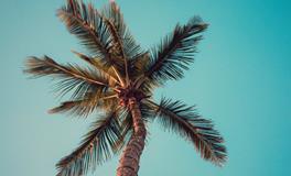 做梦梦到两条蛇