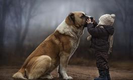 B血型君最容易背叛别人吗？