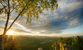 梦见两条大蛇是什么意思