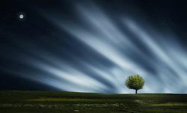 梦到绿蛇预示着什么