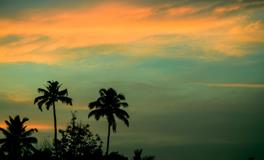 孕妇梦见两条小蛇