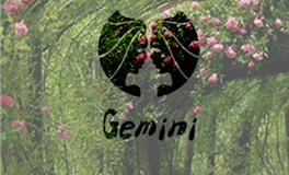 双子座生日，双子座是几月份