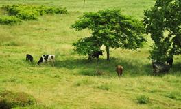 O血型君有什么怪癖