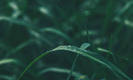 女人梦见蛇咬自己是什么意思