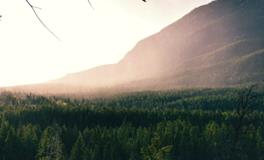 女人梦见漂亮的房子