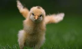 AB型血水瓶座的人境界最高吗？