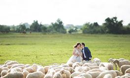 AB血型摩羯座的爱情观