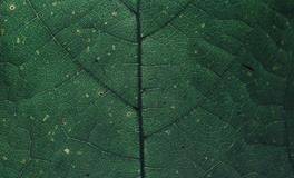 老是梦见一个人