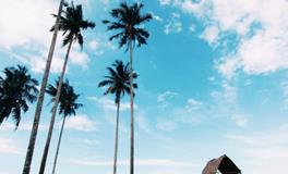 梦见自己拿钱给别人