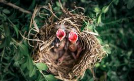 女人梦见破旧的房子里