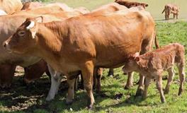 AB血型君早该明白的道理