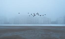 梦见老公和别的女人是什么意思