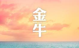 金牛座2018年8月事业运详解