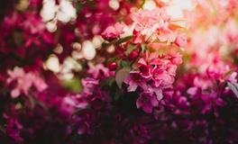 女人梦见自己被杀没死