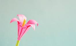 梦到交到女朋友