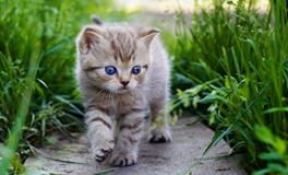 B型血的人最容易树敌吗