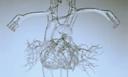 O血型君是不是最玻璃心