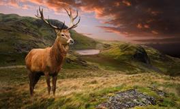 A微日记2018年8月射手座运势