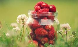 苏珊米勒今日运势2018年8月5日