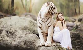 十二生肖虎的象征意义