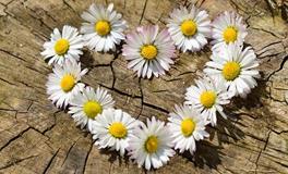 铃兰塔罗：爱情快递该怎么拆包不损坏而且更好？