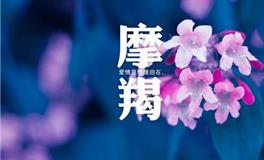 月亮摩羯座男生性格特点