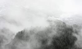 1970年属什么生肖