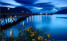 铃兰塔罗：母系家族成员最近和你有啥过节？