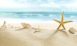 李云天一周生肖鸡运势（8.13-8.19）