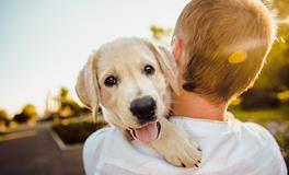 属狗几点出生好