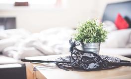 属马人的婚姻如何