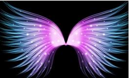 摩羯座代表的翅膀