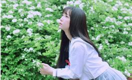 白羊座哪个部位最美