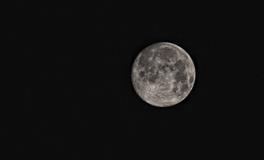 梦见不认识的人死了