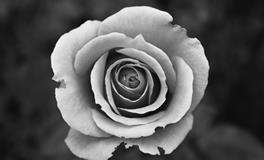 梦见亲人死了是什么意思