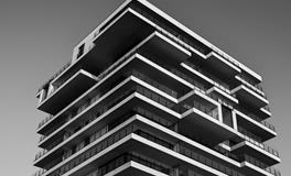 别人梦到我死了